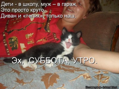 kotomatritsa_e.jpg
