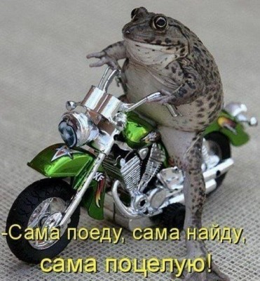 T6tvLPWXl30.jpg