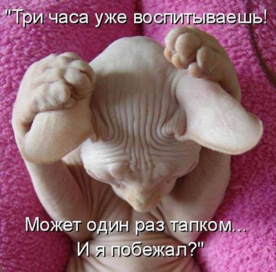 555.jpg