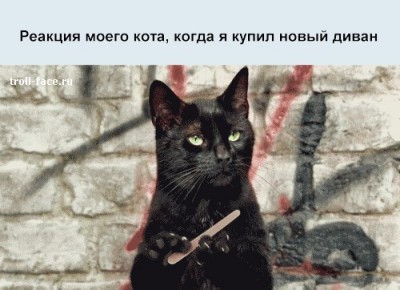 vYViTHCPum8.jpg