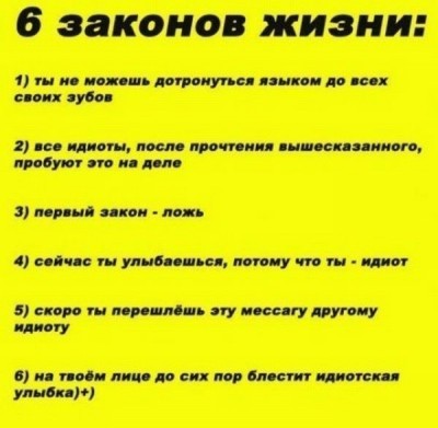 9668736.jpg