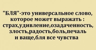 1340116746_1339969323_dxxfwx72hgy.jpg