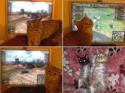 getImage.jpeg
