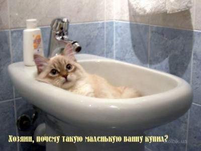 image.jpg