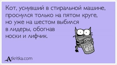1352692731_014.jpg