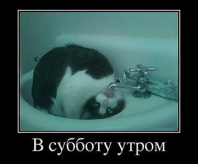 getImage4.jpg