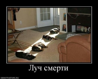getImage11.jpg