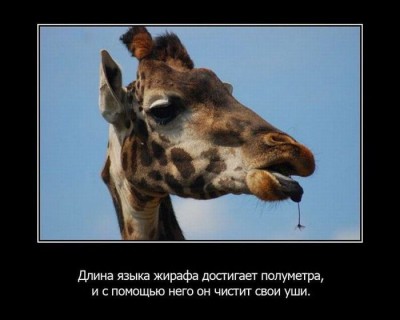 1327921358_11.jpg