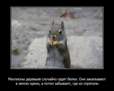 1327921360_15.jpg