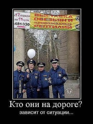 getImage (11).jpg