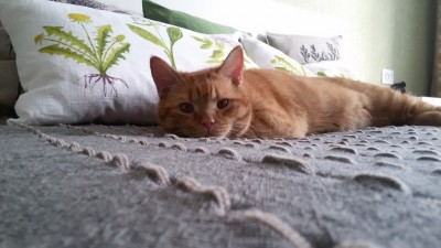 20160124_114853.jpg